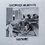 Texte: Dropkick Murphys, New England Forever, Haywire. Kinder spielen auf der Straße mit Hockeyschlägern., CD