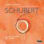 Franz Schubert: Sämtliche Werke für Violine & Klavier, CD,CD