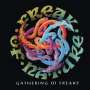Freak Of Nature: Gathering Of Freaks, CD