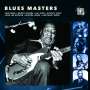 Blues Masters, LP