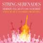Victor Herbert: Serenade für Streichorchester op.12, CD