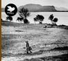 Tore Brunborg: Scent Of Soil, CD, CD