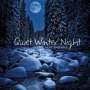 Hoff Ensemble: Quiet Winter Night, LP