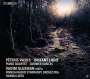 Peteris Vasks: Violinkonzert "Distant Light", SACD