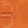 Franz Schubert (1797-1828): Klaviersonate D.840, Super Audio CD