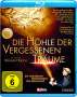 Werner Herzog: Die Höhle der vergessenen Träume (Blu-ray), BR