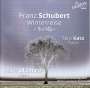 Franz Schubert: Winterreise D.911 (arr. für Tenor & Orgel), CD