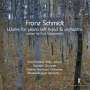 Franz Schmidt (1874-1939): Werke für Klavier linke Hand & Orchester, 2 CDs