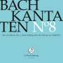 Johann Sebastian Bach (1685-1750): Bach-Kantaten-Edition der Bach-Stiftung St.Gallen - CD 8, CD