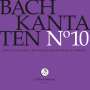 Johann Sebastian Bach: Bach-Kantaten-Edition der Bach-Stiftung St.Gallen - CD 10, CD