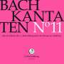 Johann Sebastian Bach: Bach-Kantaten-Edition der Bach-Stiftung St.Gallen - CD 11, CD