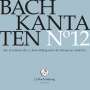 Johann Sebastian Bach: Bach-Kantaten-Edition der Bach-Stiftung St.Gallen - CD 12, CD