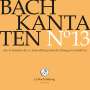Johann Sebastian Bach (1685-1750): Bach-Kantaten-Edition der Bach-Stiftung St.Gallen - CD 13, CD