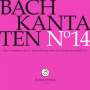 Johann Sebastian Bach (1685-1750): Bach-Kantaten-Edition der Bach-Stiftung St.Gallen - CD 14, CD