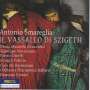 Antonio Smareglia (1854-1929): Il Vassallo di Szigeth, 2 CDs