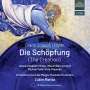 Joseph Haydn: Die Schöpfung, CD,CD