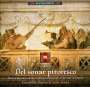 : Del Sonar Pitoresco - Venetianische Musik zu Zeit Tiepolos, CD
