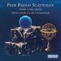 Pier Paolo Scattolin: Vokal- und Instrumentalwerke "Suoni e rime sparse", CD