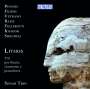 Sonar Trio - Lithos, CD