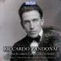 Riccardo Zandonai (1883-1944): Kammermusik & Werke für kleines Orchester, 3 CDs