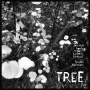 Joachim Govin: Tree, CD
