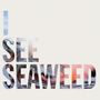The Drones: I See Seaweed, 2 LPs, 2 LPs