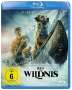 Chris Sanders: Ruf der Wildnis (2020) (Blu-ray), BR