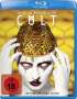 Ryan Murphy: American Horror Story Staffel 7: Cult (Blu-ray), BR,BR,BR