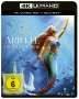 Arielle, die Meerjungfrau (2023) (Ultra HD Blu-ray & Blu-ray), 1 Ultra HD Blu-ray und 1 Blu-ray Disc