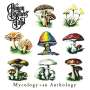 The Allman Brothers Band: Mycology: An Anthology, CD