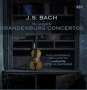Johann Sebastian Bach (1685-1750): Brandenburgische Konzerte Nr.1-6 (180g), 2 LPs
