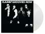 The Flamin' Groovies: Now (180g) (Limited Numbered Edition) (White Vinyl), LP