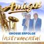 Die Amigos: Große Erfolge: Instrumental, CD