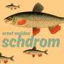 Ernst Molden: Schdrom (180g), LP,CD
