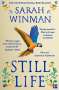 Sarah Winman: Still Life, Buch
