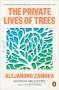 Alejandro Zambra: The Private Lives of Trees, Buch