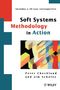 Peter Checkland: Soft Systems Methodology in Action (Includes a 30-year Retrospective), Buch