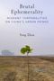 „Brutal Ephemerality“, „Migrant Temporalities on China's Urban Fringe“, „Yang Zhan“. Einsamer Setzling auf karger Landschaft., Buch