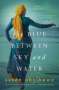 Susan Abulhawa: The Blue Between Sky and Water, Buch