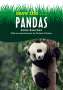 Anita Sanchez: Save The...Pandas, Buch