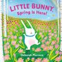 Deborah Marcero: Little Bunny, Spring Is Here!, Buch