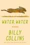 Billy Collins: Water, Water, Buch