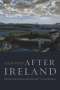 Declan Kiberd: After Ireland: Writing the Nation from Beckett to the Present, Buch