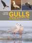 Peter Adriaens: Gulls of Europe, North Africa, and the Middle East, Buch