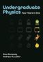Text: "Undergraduate Physics Four Years in One" von Ross Dempsey, Andrew M. Leifer. Illustrationen von Objekten und Figuren.