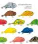 Chisato Tashiro: Chameleon's Colors, Buch