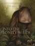 Lucy Cavendish: Into the Lonely Woods Gift Book, Buch