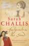 Sarah Challis: Footprints in the Sand, Buch