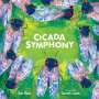 Sue Fliess: Cicada Symphony, Buch