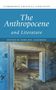 Oberer Text: "The Anthropocene and Literature", "Edited by Tore Rye Andersen". Verfallener Raum mit Sand., Buch